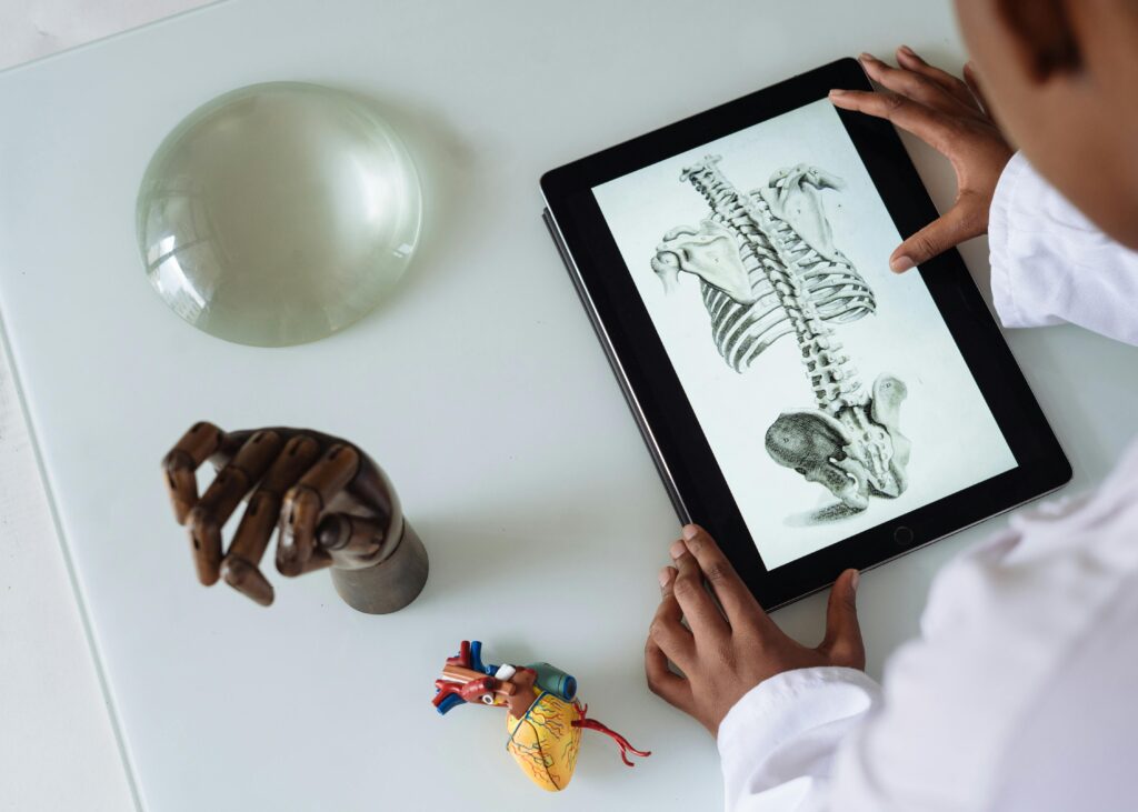 Person viewing spinal anatomy on a tablet